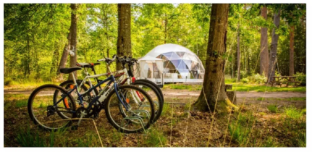 dormir dans un écolodge lors de vos vacances