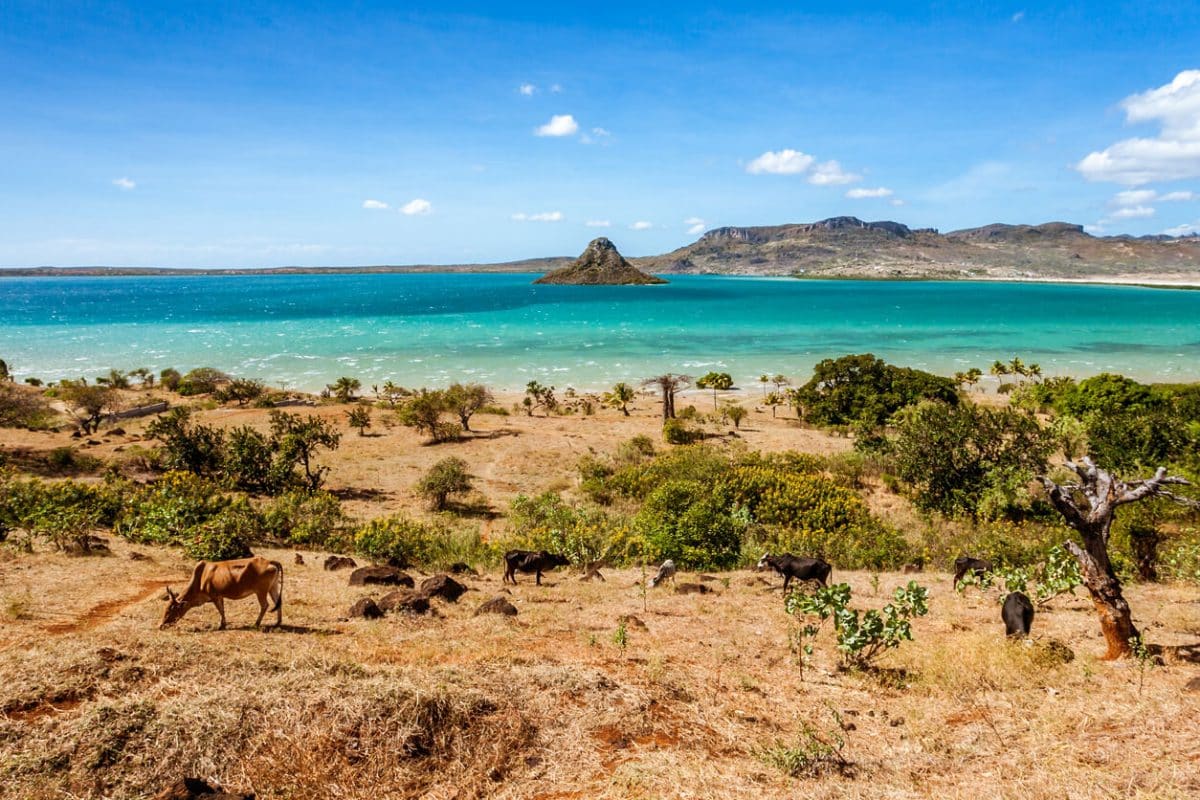 Madagascar